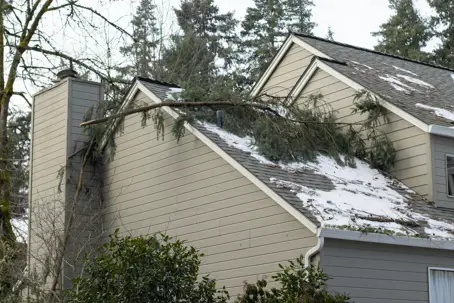 Tree falling on house