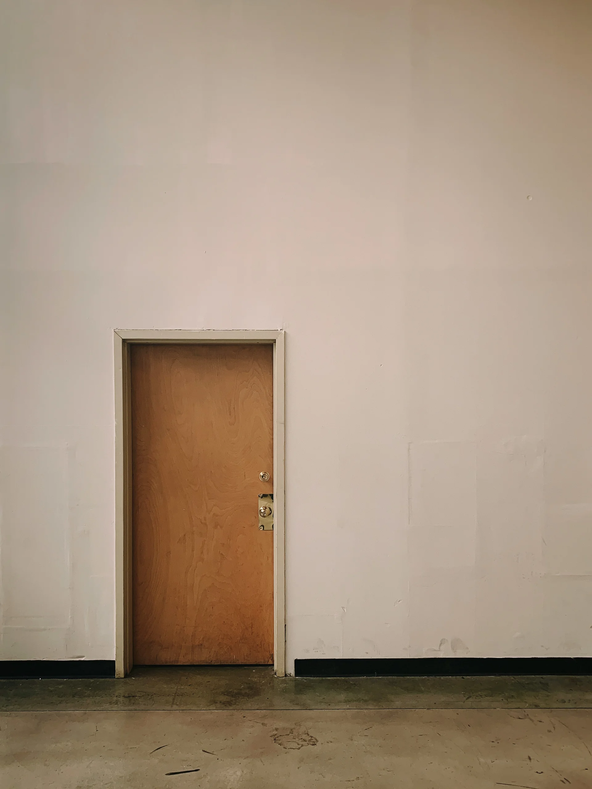 A closed wooden door in a bare white wall, illustrating a psychosexual evaluation in a South Carolina custody case